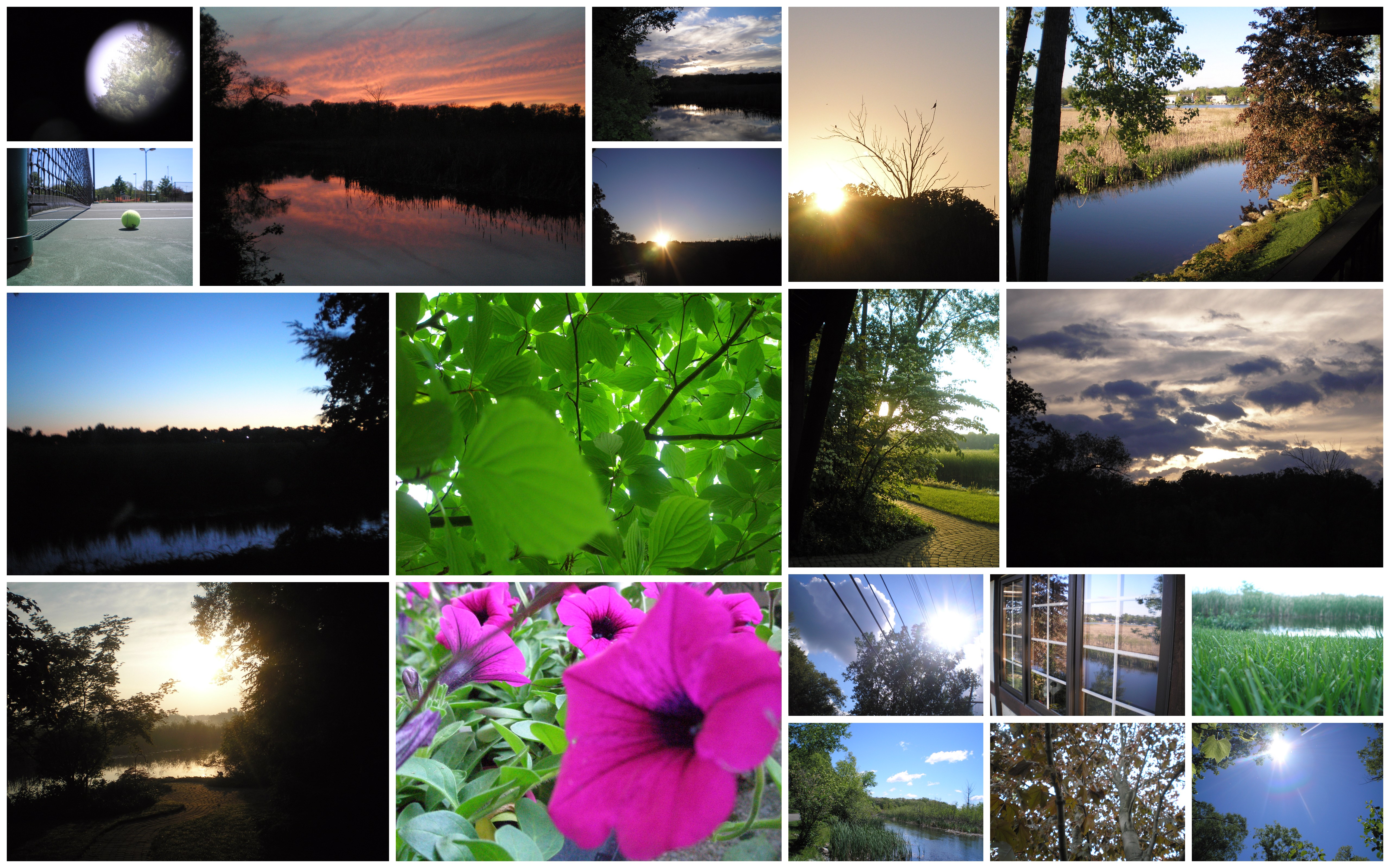 Scenery Collage